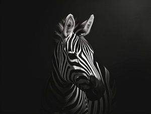 Zebra Contrasts - Elegante Streifen in Schwarz und Weiß - zebra von Eva Lee