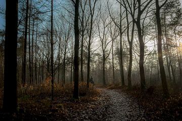 De eenzame ruiter sur Jan Diepeveen