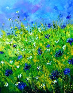 Full summer sur pol ledent