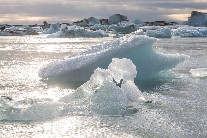 Island von Eric van Nieuwland