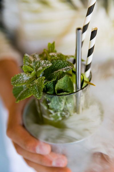 Mojito, der Klassiker unter den Cocktails von Laura V