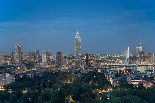 Rotterdam: a bird's-eye view