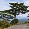 Road overlooking the Luberon Valley by Ralph Rozema
