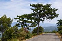 Road overlooking the Luberon Valley