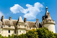 Schloss Chaumont in Chaumont sur Loire an der Loire in Frankreich von Dieter Walther Miniaturansicht