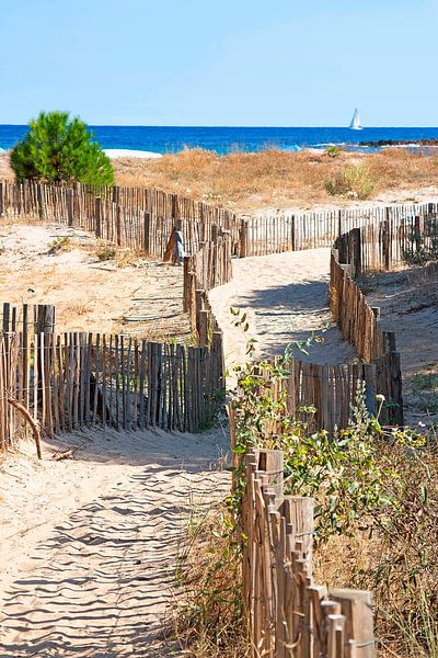 Weg zum Strand von Thomas Heitz