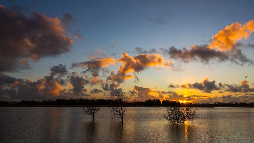 Bomen in het water bij zonsondergang van peterheinspictures