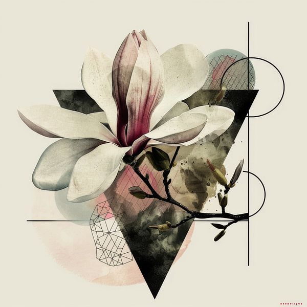 Magnolia blossom by Poster Art Shop