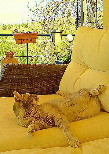 Ontspannen en rondkijken