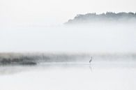 Grue dans le brouillard par Dieverdoatsie Fotografie Aperçu