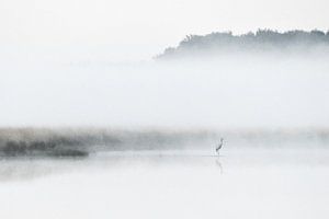 Kraanvogel in mist van Dieverdoatsie Fotografie