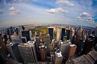 Blick auf den Central Park von Joran Maaswinkel Miniaturansicht