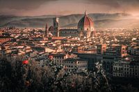 City of Florence in morning sunlight