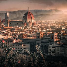Florence skyline in ochtendzon (Kathedraal en Palazzo Vechio) van Tim Rensing
