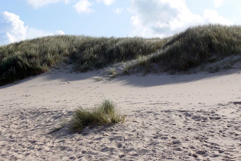 Einsame Düne mit Strand ohne Strandkörbe auf Sylt von Martin Flechsig