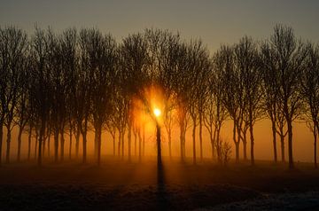 Zonsopkomst sur Yvonne van der Meij