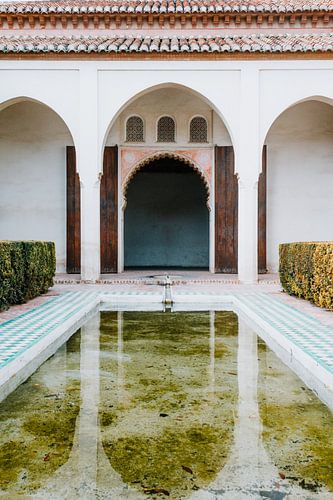 Patio at Alhambra in Granada