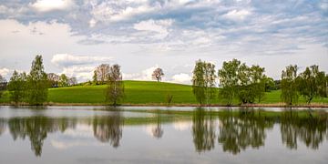 Reflections on a lake