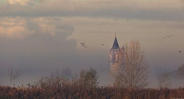 De vroege morgen van Frans Hollander