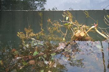 sluisje Hoornse Plas