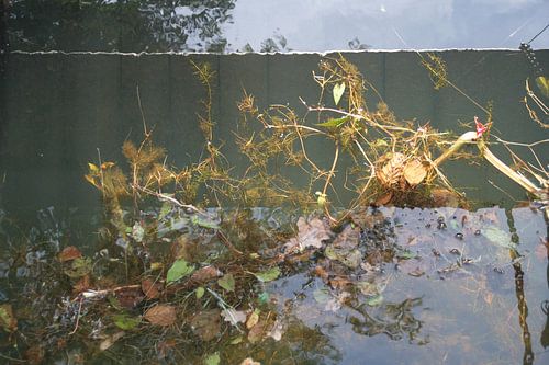 sluisje Hoornse Plas