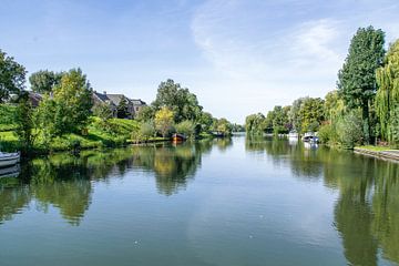 Riviertje de Linge van Brigitte Alphenaar