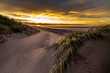 The wind blows through the dunes by Ferdinand Mul