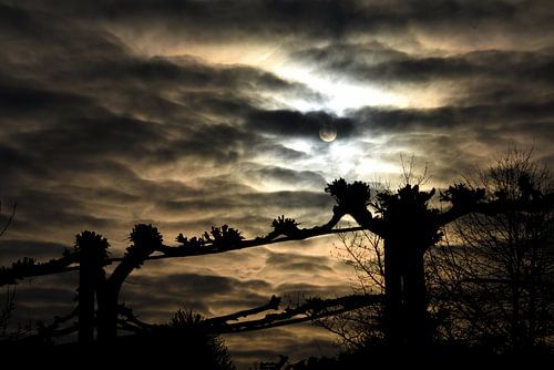 Morgenstond heeft goud in de mond