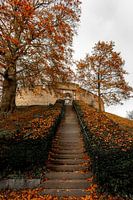 Herfst bij de Burcht in Leiden