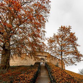 Autumn at the Burcht in Leiden by Patrick Herzberg