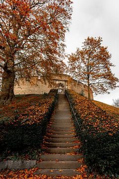 Herfst bij de Burcht in Leiden van Patrick Herzberg