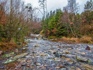 Eindeloos Stromende River Bayehon van Nature Life Ambience