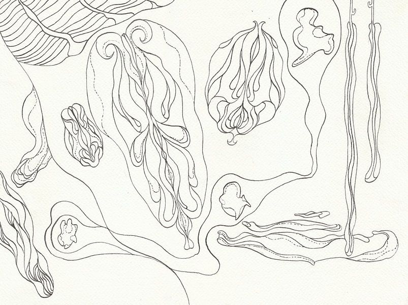 Floating Amorphous by Sandro Cocco