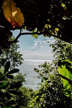 Costa Rica - Vue sur les vagues tropicales sur Jordy Brada