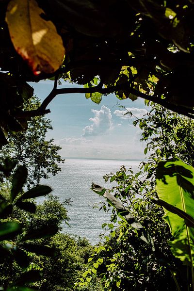 Costa Rica - View on tropical waves by Jordy Brada