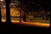 Herfst