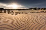 Coucher de soleil dans le Westduinpark près de Kijkduin, La Haye par Rob Kints Aperçu