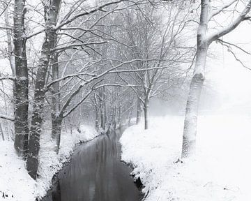 Winter wandeling langs een beekje op het platte land van Inez VAN DE WEYER