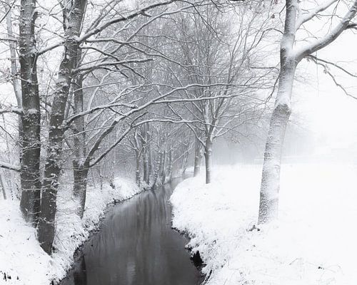 Winter wandeling langs een beekje op het platte land