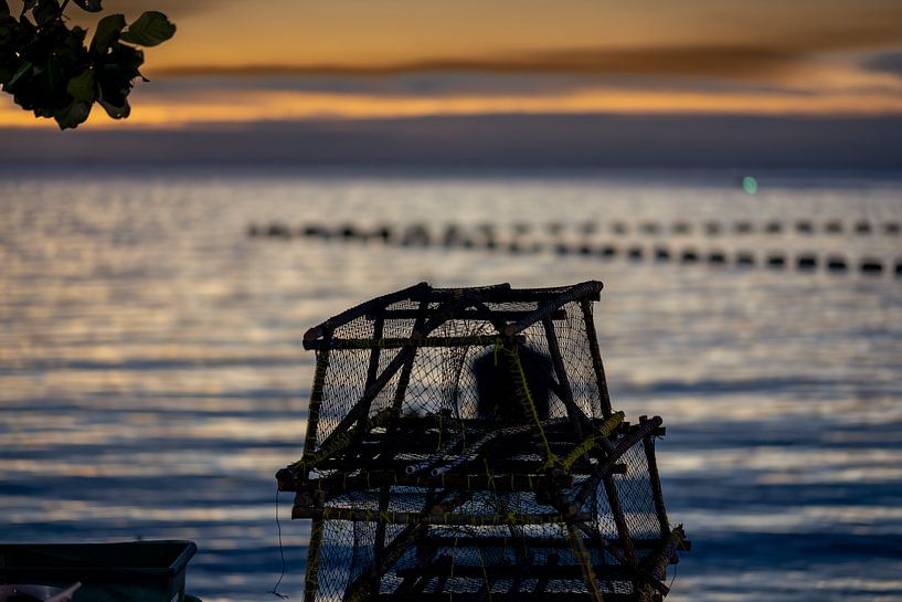 Fisherman ducks at Sunset by Franklin Driessen