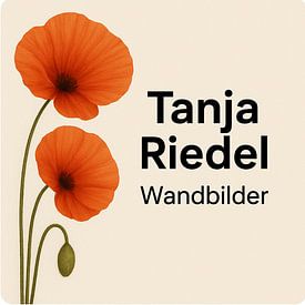 Tanja Riedel Profilfoto