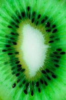 The Life Force of a Kiwi