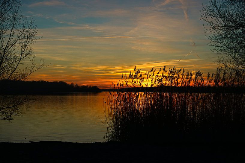 View of the Wannsee in Berlin. by Martin Köbsch