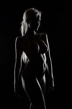 Bodyscape Blondine nackt von Allard Kamermans