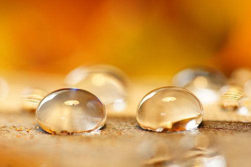 Honey drops by Carla Mesken-Dijkhoff