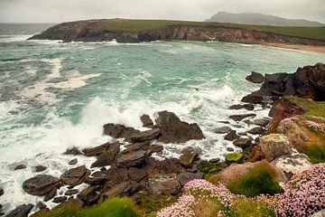 Irlande sur Astrid Volten