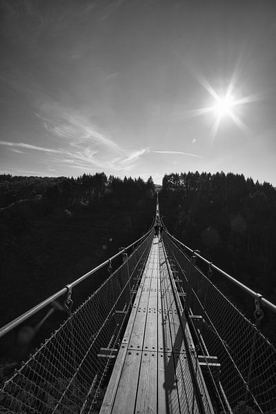 Zicht op de hangbrug Geierlay. van Martin Köbsch