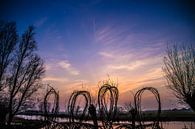 Sunset van Robin Bulters thumbnail