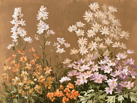 Wildflowers in soft bloom by IamHomeStudio