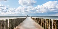 Groynes Westkapelle